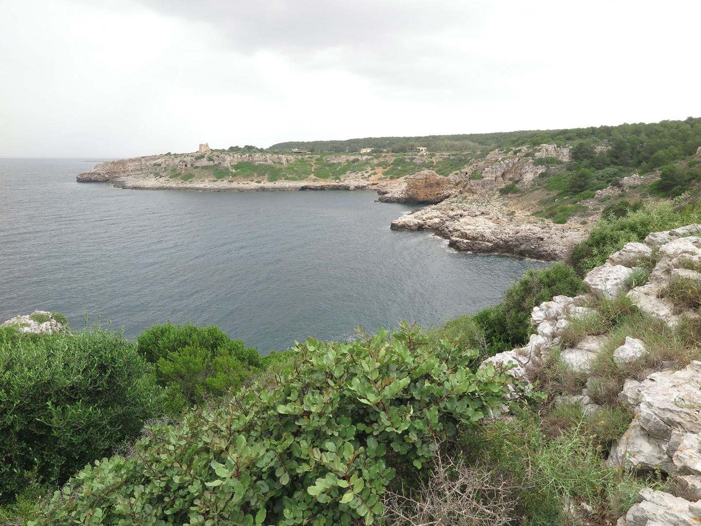 Grotta del Cavallo (Nardò)